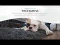 Loop Presentation Awesome PPTX Template Small Screenshot Loop Presentation PowerPoint Template