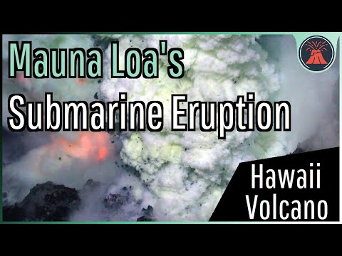 The Recent Submarine Volcanic Eruption of Mauna Loa