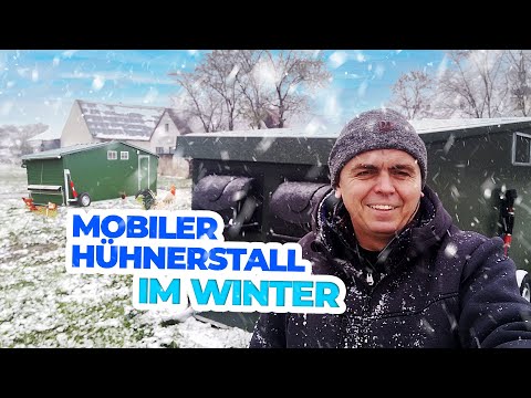 Mobiler Hühnerstall im Winter