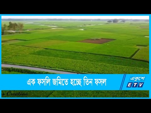কৃষিনির্ভর বাংলাদেশের কৃষি এখন ডিজিটাল
