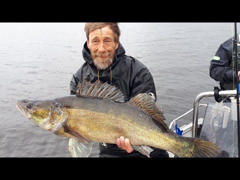 Harrin unelmapäivä - Jättikuha - Kuhan kalastus - Kuhanjigaus - Jasu - Eumer