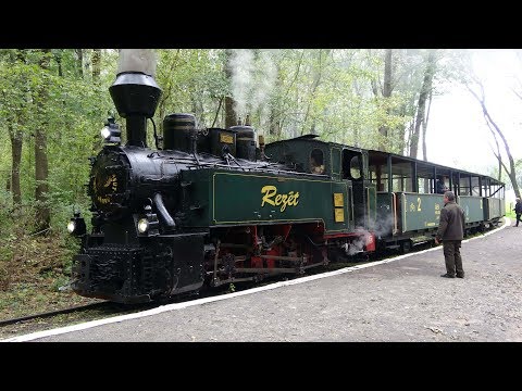 Ungarn Waldbahn Gemenc State Forest Railway 2018 09 23