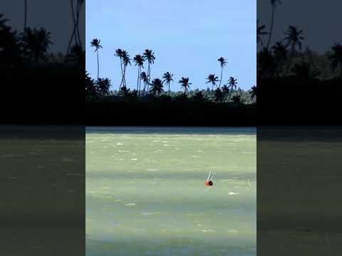 KALAPU HUFANGA'ANGA (HAVELULOTO) TUTUA 'A HINA