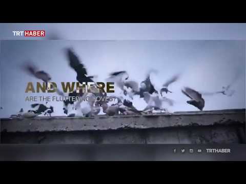 PKK/YPG'nin gerçek yüzünü gösteren belgesel: Syria The Backstage