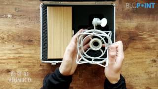Video thumbnail for Avantone CK-6 Unboxing by Blupoint Music