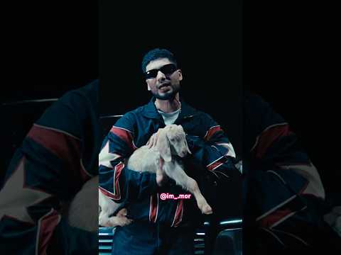 Reel tagged #shortvideo