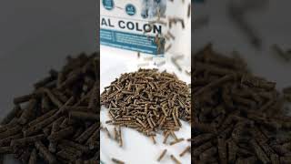 Dromy Vital Colon 3,3 kg