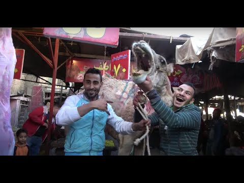 JUXTAPOSITION (PINK LADY SHORT FILM FINALIST)