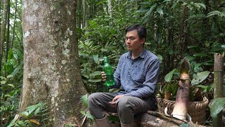 Mai went back to her hometown. Robert missed Mai very much. Green forest life 