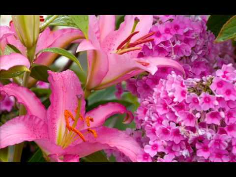 Liz Kay-Castle in the sky(slow motion mix)