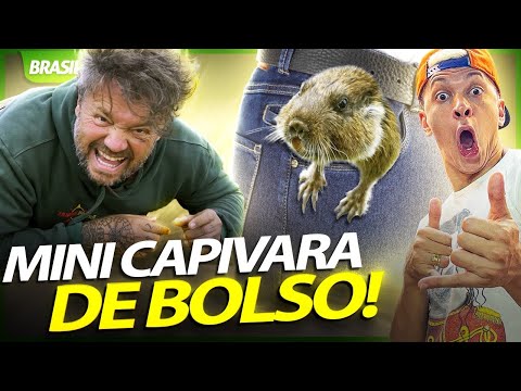 TUCO-TUCO UMA CRIATURA SUBTERRÂNEA QUE VIVE NO SUL DO BRASIL! | RICHARD RASMUSSEN