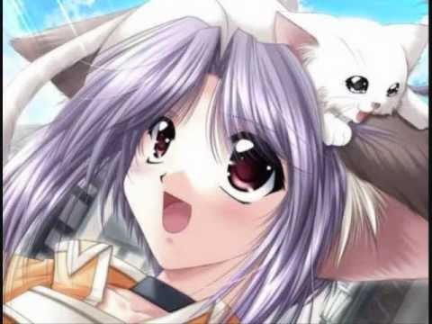 Can't Hug Every Cat - ANIME