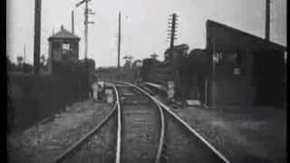 WOLF! (feat. Scott Metzger) "Cake Walk"