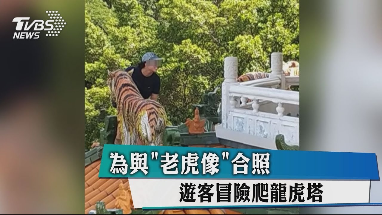 為與「老虎像」合照　遊客冒險爬龍虎塔