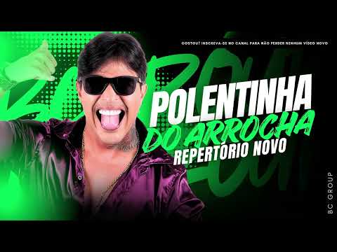 POLENTINHA DO ARROCHA MÚSICAS NOVAS DEZEMBRO 2025 | ATUALIZADO PRA PAREDÃO