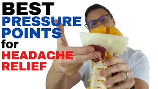 BEST Pressure Points for INSTANT Headache Relief | Dr. Jon Saunders | Newmarket Chiropractor