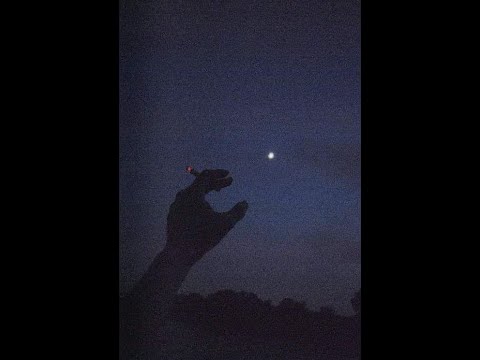 The aesthetic of curiosity