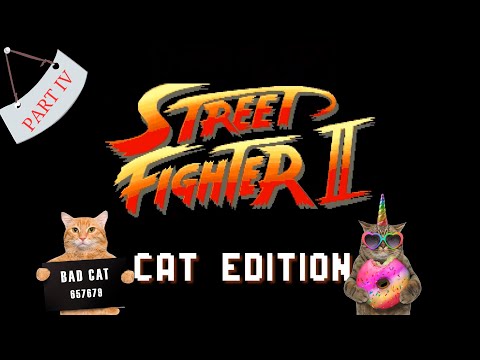 Street Fighter: Cat Edition Part 4 - Bemoner #cats