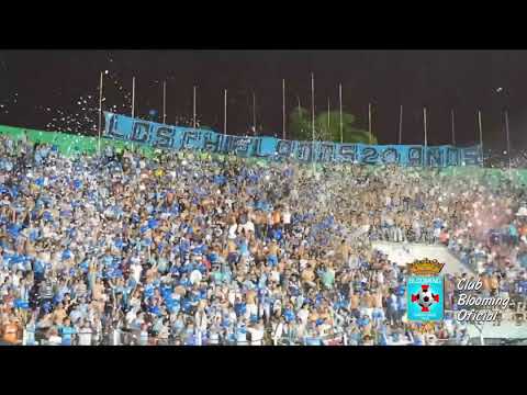 "LOS CHIFLADOS 20 AÑOS DE AGUANTE" Barra: Los Chiflados &bull; Club: Blooming