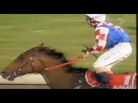 2003/2004 Season (6/7) Rosehill Guineas Day - All Aged Stakes