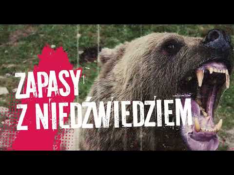 4DX jest jak walka z niedźwiedziem