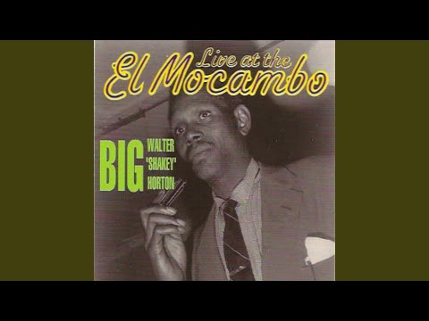 Jukin' with Walter (Live)