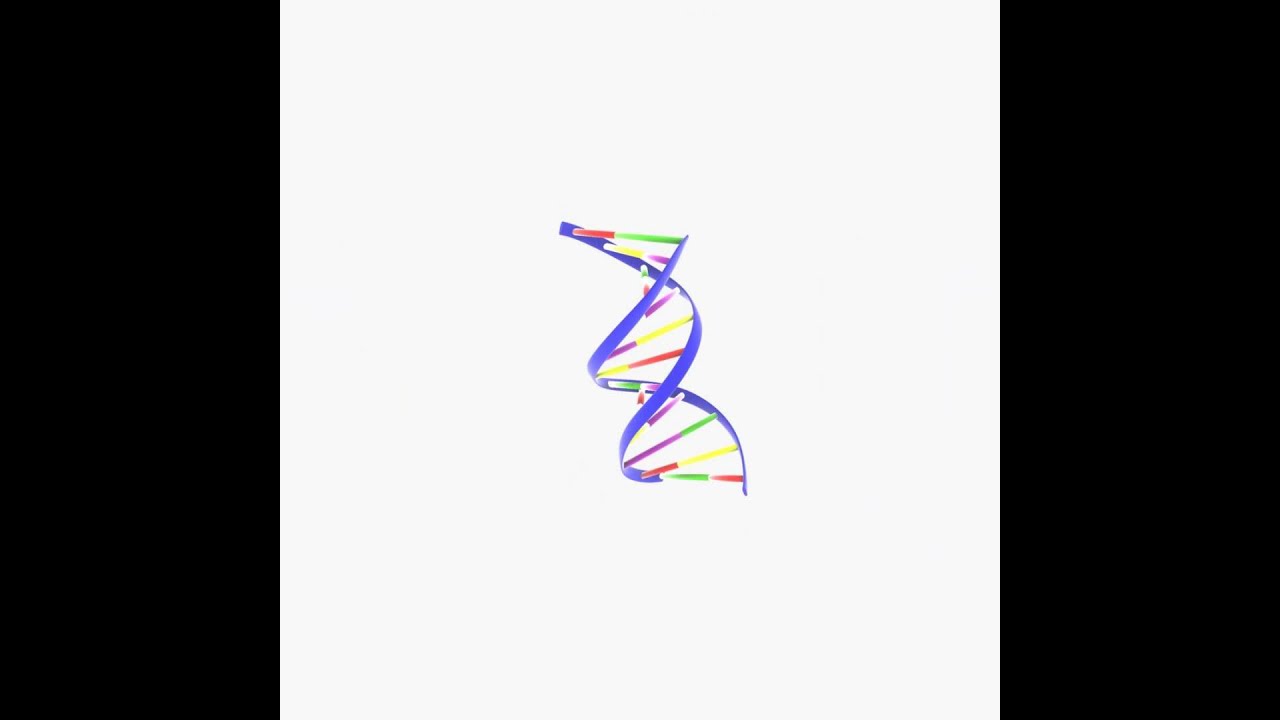 DNA Ribbon 3D model from CGTrader.com