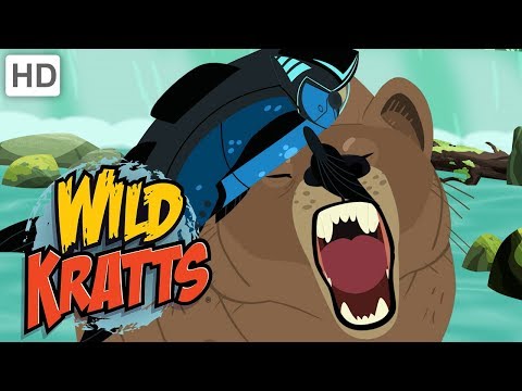 Wild Kratts - Explore Alaska: Fishing with Bears and Eagles 🐟🦅🐻 | Kids Videos