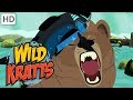 Wild Kratts Explore Alaska Fishing With Bears And Eagles Kids Videos