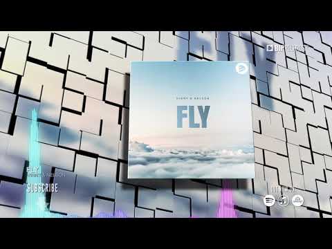 Vinny Nelson Fly