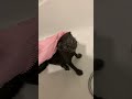 Sister Minnie Takes A Bath