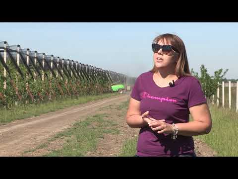 Imamo rešenje ep. 52 18.05.2020. NAJAVA