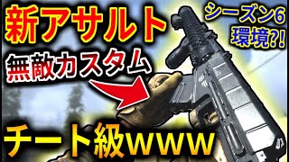 【CODMW】新武器ARがブっ壊れ!!!!! 　連キル・壁抜き・撃ち合い、全てにおいて万能過ぎるｗｗｗ【ASVAL】
