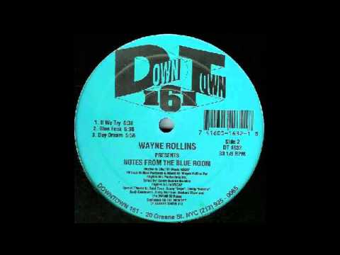 (1995) Wayne Rollins - If We Try [Original Mix]