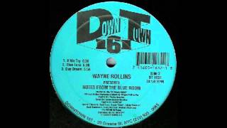 (1995) Wayne Rollins - If We Try [Original Mix]