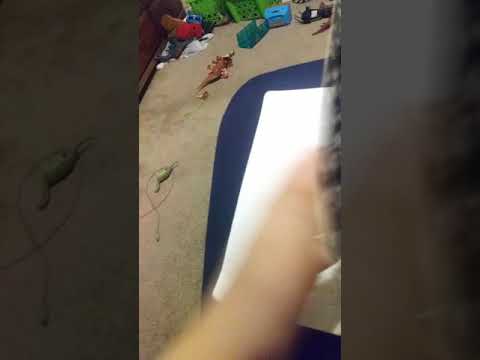 Why I hate kanna (part 2 out of 2