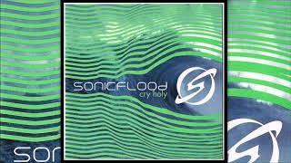 RUSHING IN - Sonicflood [Cry Holy]