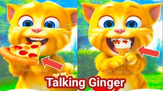 Talking Ginger Funny Video 🤣🤣🤣 | talking ginger cartoon | talking ginger game | ginger cat |