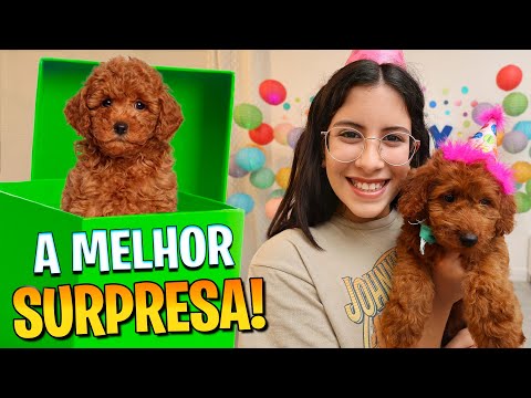 GANHEI O MELHOR PRESENTE DE TODOS - Família Maria Clara e JP