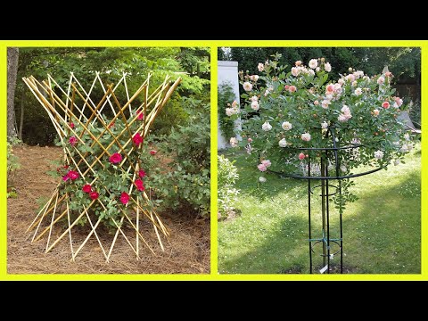 40 видов опор и подвязок для растений и кустов 🌾