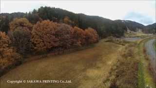 preview picture of video '紅葉 落葉 空撮 小田深山 愛媛県内子町 Japan autumn leaves'