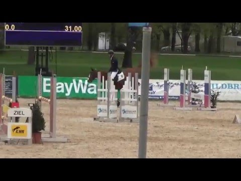 Schweizer Hof´s Asterix