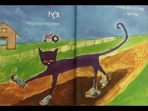 שאול החתול - ניר פרידמן מספר