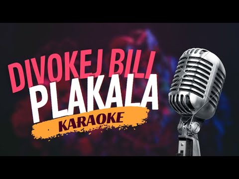 Karaoke - Divokej Bill - 