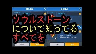 [パラロス] 12時間かけて作り上げた装飾品情報　Bleach PARADISE LOST