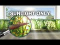 Making A Sunlight Powered Aquarium With No Filter