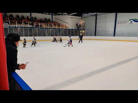 Ilves U8 Montreal - Tappara U8 Panthers 04.10.20