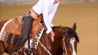King Stables - Performance Unlimited