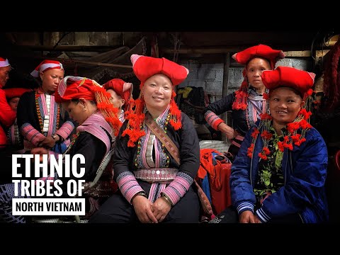 🇻🇳 Ethnic tribes of Sapa (Vietnam): travel documentary