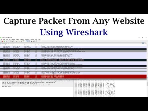 How To Capture Packets From Any Website Using Wireshark (TCP/UDP/IP, etc.)
